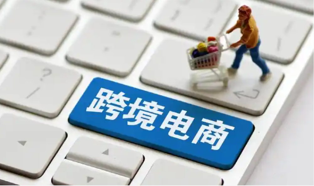 取针出海翻译软件Mac版提示无法验证